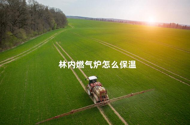 林内燃气炉怎么保温 林内燃气炉怎么保温