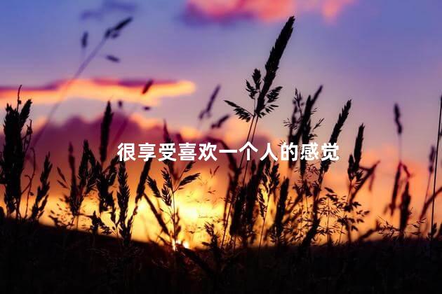 很享受喜欢一个人的感觉