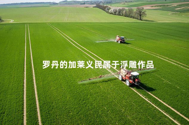罗丹的加莱义民属于浮雕作品