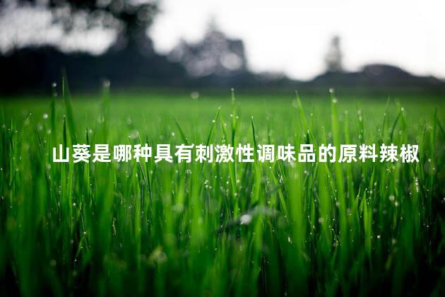 山葵是哪种具有刺激性调味品的原料辣椒姜胡椒 山葵是哪种具有刺激性调味品的原料辣椒姜胡椒