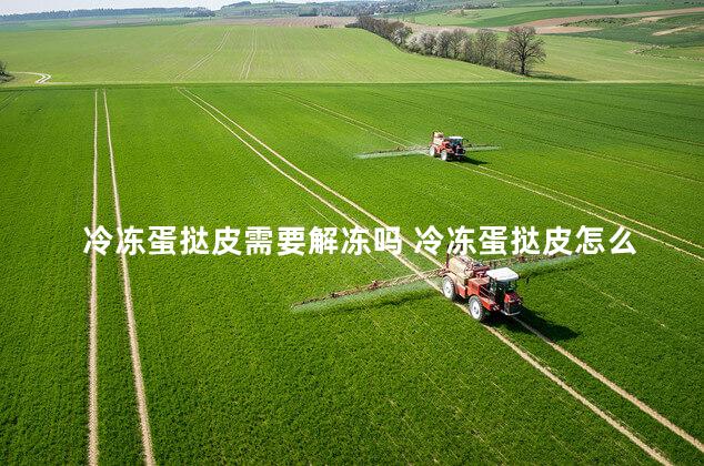 冷冻蛋挞皮需要解冻吗 冷冻蛋挞皮怎么烤制 冷冻蛋挞皮需要解冻吗 冷冻蛋挞皮怎么烤制