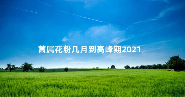 蒿属花粉几月到高峰期2021 蒿属花粉几月到高峰期2021