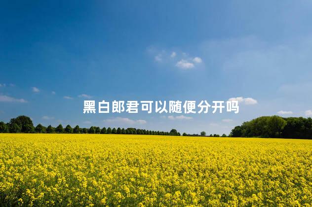 黑白郎君可以随便分开吗