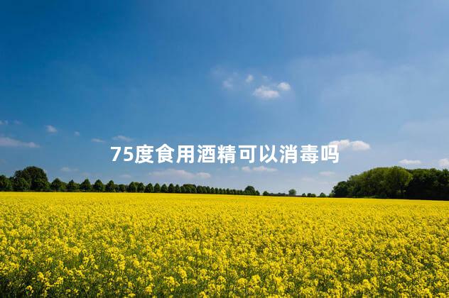 75度食用酒精可以消毒吗 75度食用酒精可以消毒吗