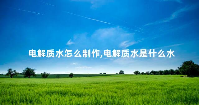 电解质水怎么制作,电解质水是什么水