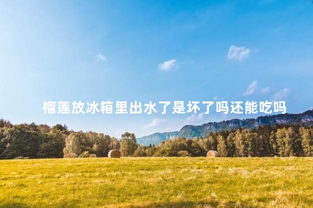 榴莲放冰箱里出水了是坏了吗还能吃吗