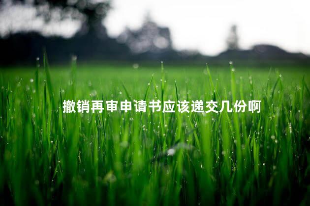 撤销再审申请书应该递交几份啊 撤销再审申请书应该递交几份啊