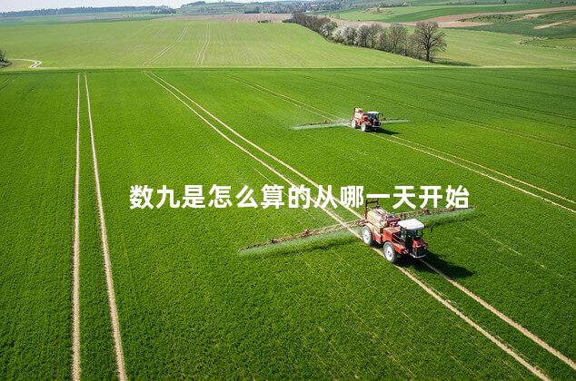 数九是怎么算的从哪一天开始