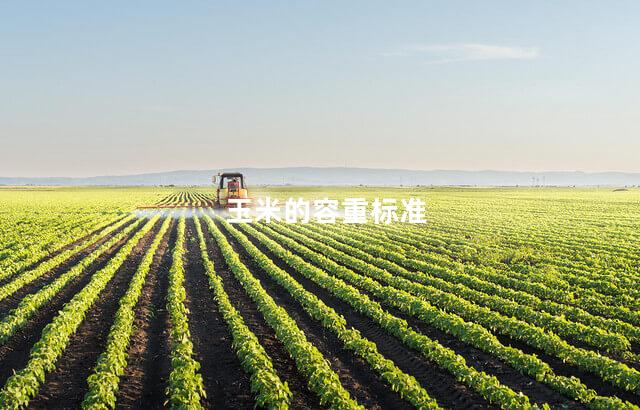 玉米的容重标准