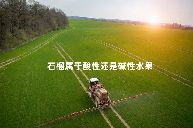 石榴属于酸性还是碱性水果