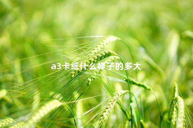 a3卡纸什么样子的多大 a3卡纸什么样子的多大