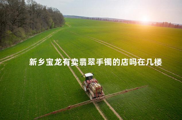 新乡宝龙有卖翡翠手镯的店吗在几楼