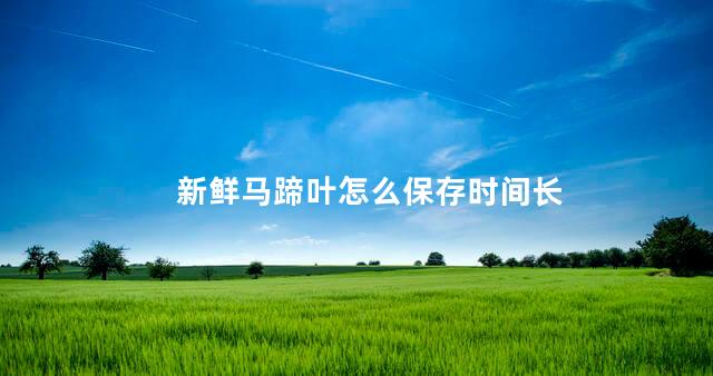 新鲜马蹄叶怎么保存时间长 新鲜马蹄叶怎么保存时间长