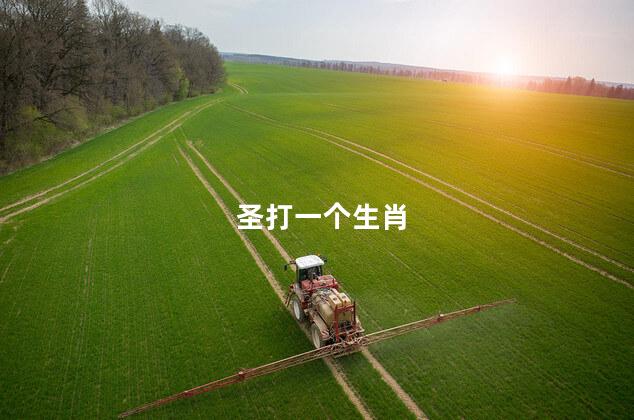 圣打一个生肖 圣打一个生肖