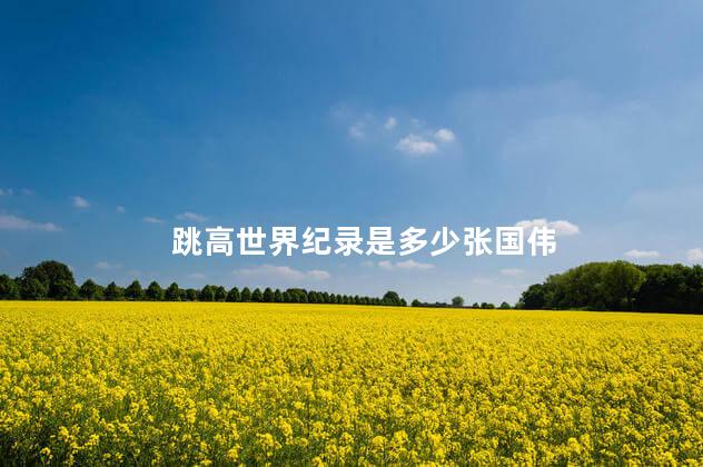 跳高世界纪录是多少张国伟