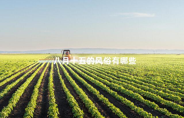 八月十五的风俗有哪些 八月十五的风俗有哪些
