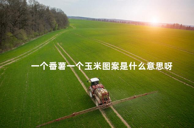 一个番薯一个玉米图案是什么意思呀