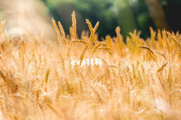eva材料 eva材料