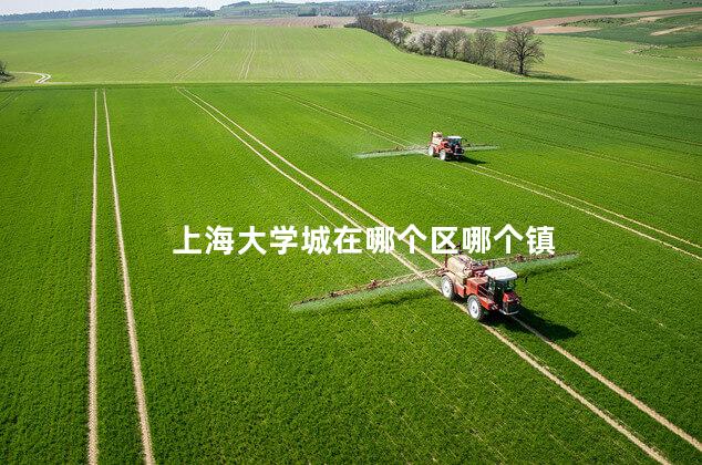 上海大学城在哪个区哪个镇 上海大学城在哪个区哪个镇