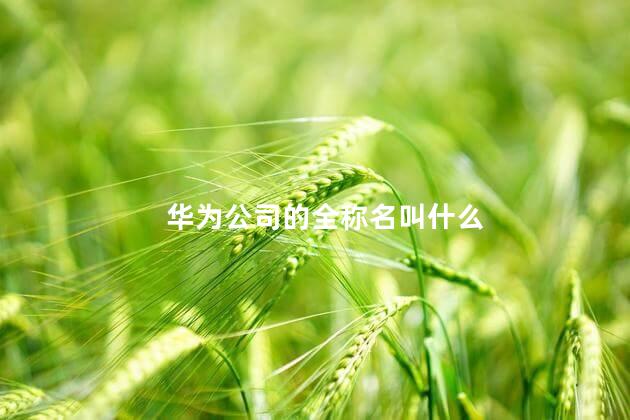 华为公司的全称名叫什么