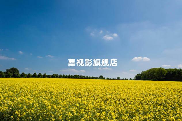 嘉视影旗舰店 嘉视影旗舰店