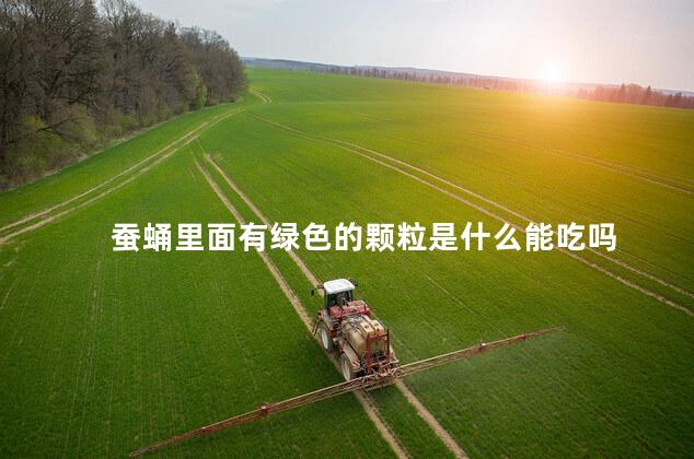 蚕蛹里面有绿色的颗粒是什么能吃吗