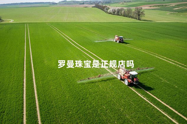 罗曼珠宝是正规店吗 罗曼珠宝是正规店吗