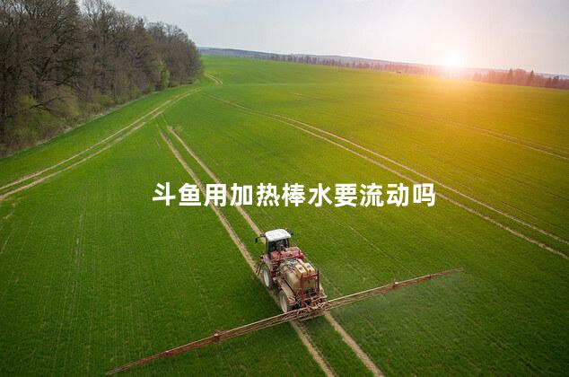 斗鱼用加热棒水要流动吗 斗鱼用加热棒水要流动吗