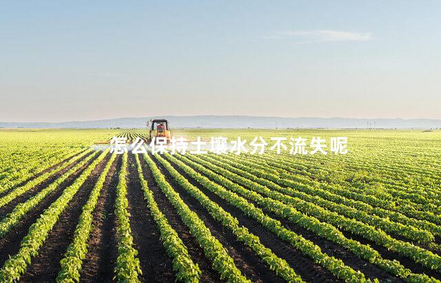 怎么保持土壤水分不流失呢
