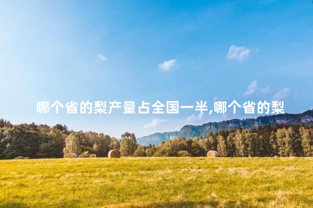 哪个省的梨产量占全国一半,哪个省的梨产量最大 哪个省的梨产量占全国一半,哪个省的梨产量最大