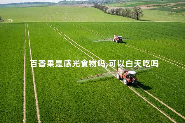百香果是感光食物吗,可以白天吃吗