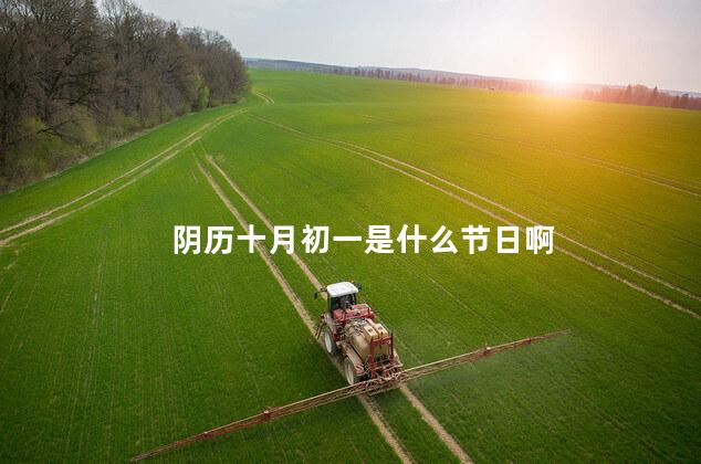 阴历十月初一是什么节日啊 阴历十月初一是什么节日啊
