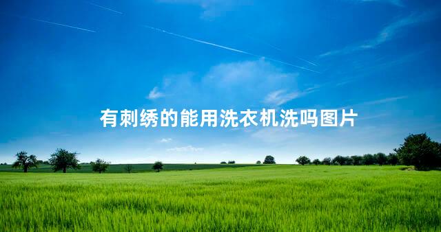 有刺绣的能用洗衣机洗吗图片 有刺绣的能用洗衣机洗吗图片