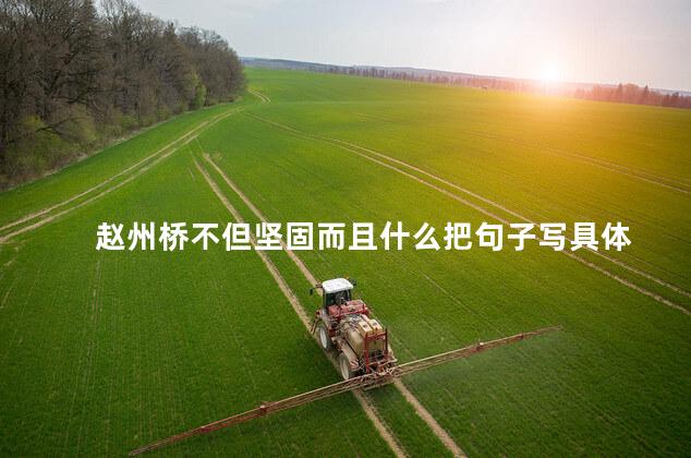 赵州桥不但坚固而且什么把句子写具体 赵州桥不但坚固而且什么把句子写具体
