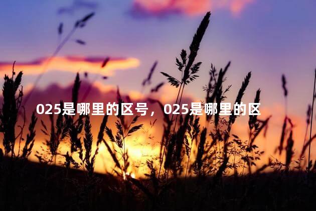 025是哪里的区号，025是哪里的区号查询