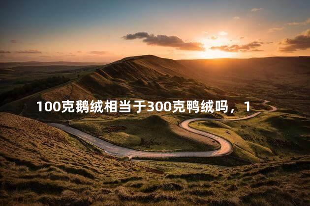 100克鹅绒相当于300克鸭绒吗，100克鹅绒相当于300克鸭绒吗
