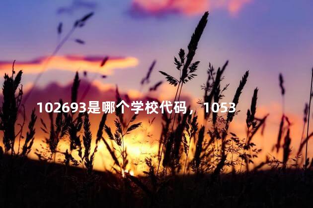 102693是哪个学校代码，10532是哪个学校代码