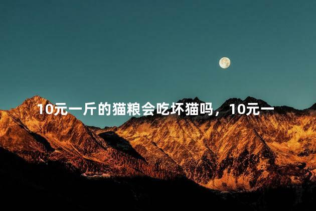 10元一斤的猫粮会吃坏猫吗，10元一斤的猫粮怎么样