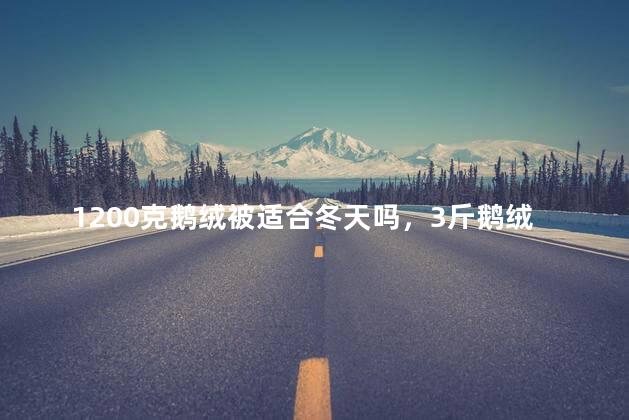 1200克鹅绒被适合冬天吗，3斤鹅绒被相当于几斤的棉被