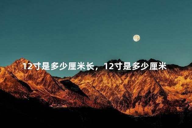 12寸是多少厘米长，12寸是多少厘米长宽