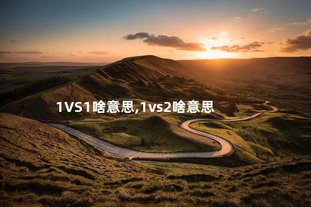 1VS1啥意思,1vs2啥意思 1VS1啥意思,1vs2啥意思
