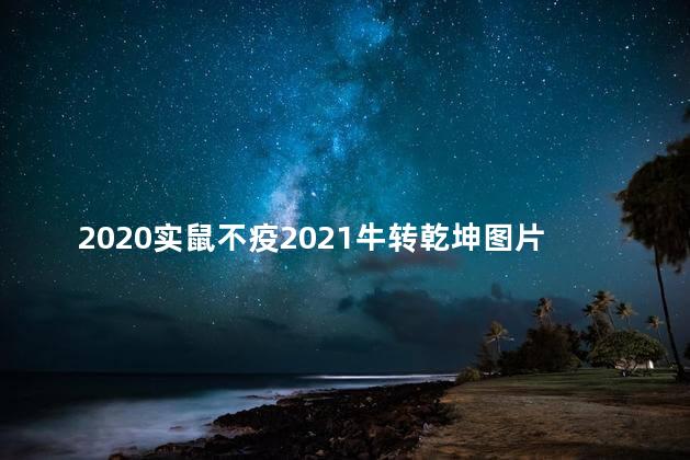 2020实鼠不疫2021牛转乾坤图片高清壁纸，2020实鼠不易2021牛转乾坤壁纸