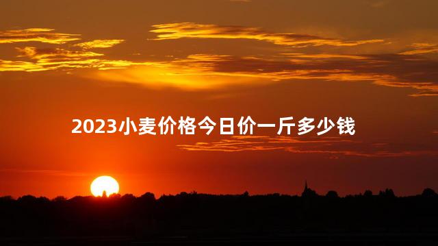2023小麦价格今日价一斤多少钱