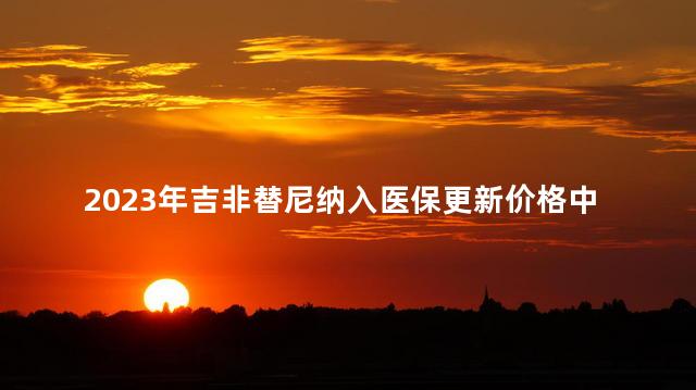 2023年吉非替尼纳入医保更新价格中