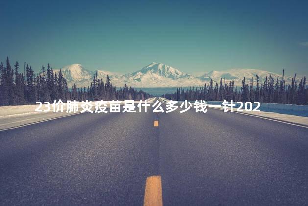 23价肺炎疫苗是什么多少钱一针2022