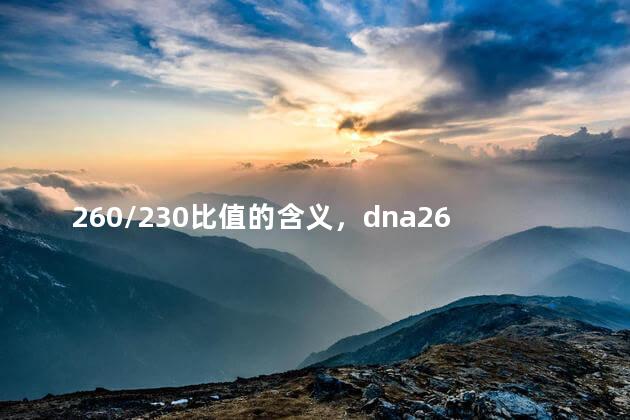 260/230比值的含义，dna260/280比值的含义