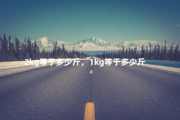2kg等于多少斤，1kg等于多少斤