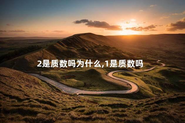 2是质数吗为什么,1是质数吗 2是质数吗为什么,1是质数吗