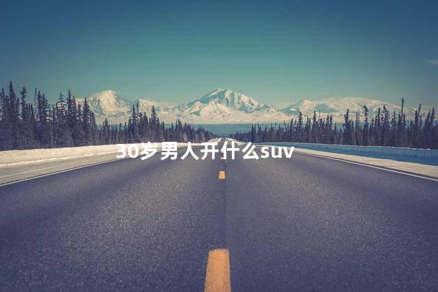 30岁男人开什么suv