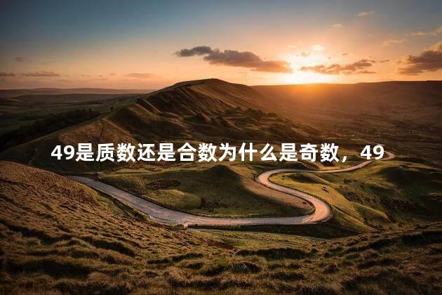 49是质数还是合数为什么是奇数，49是质数还是合数为什么不是奇数
